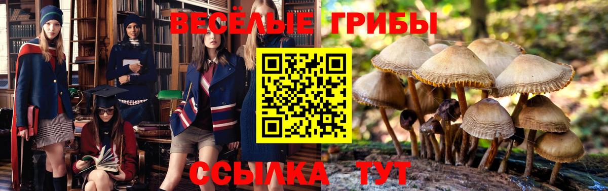 Галлюциногенные грибы прущие грибы Саров
